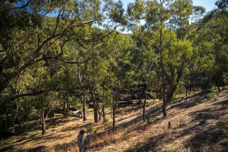 Fourth view of Homely rural property listing, 5 Upper Turon Road, Capertee NSW 2846