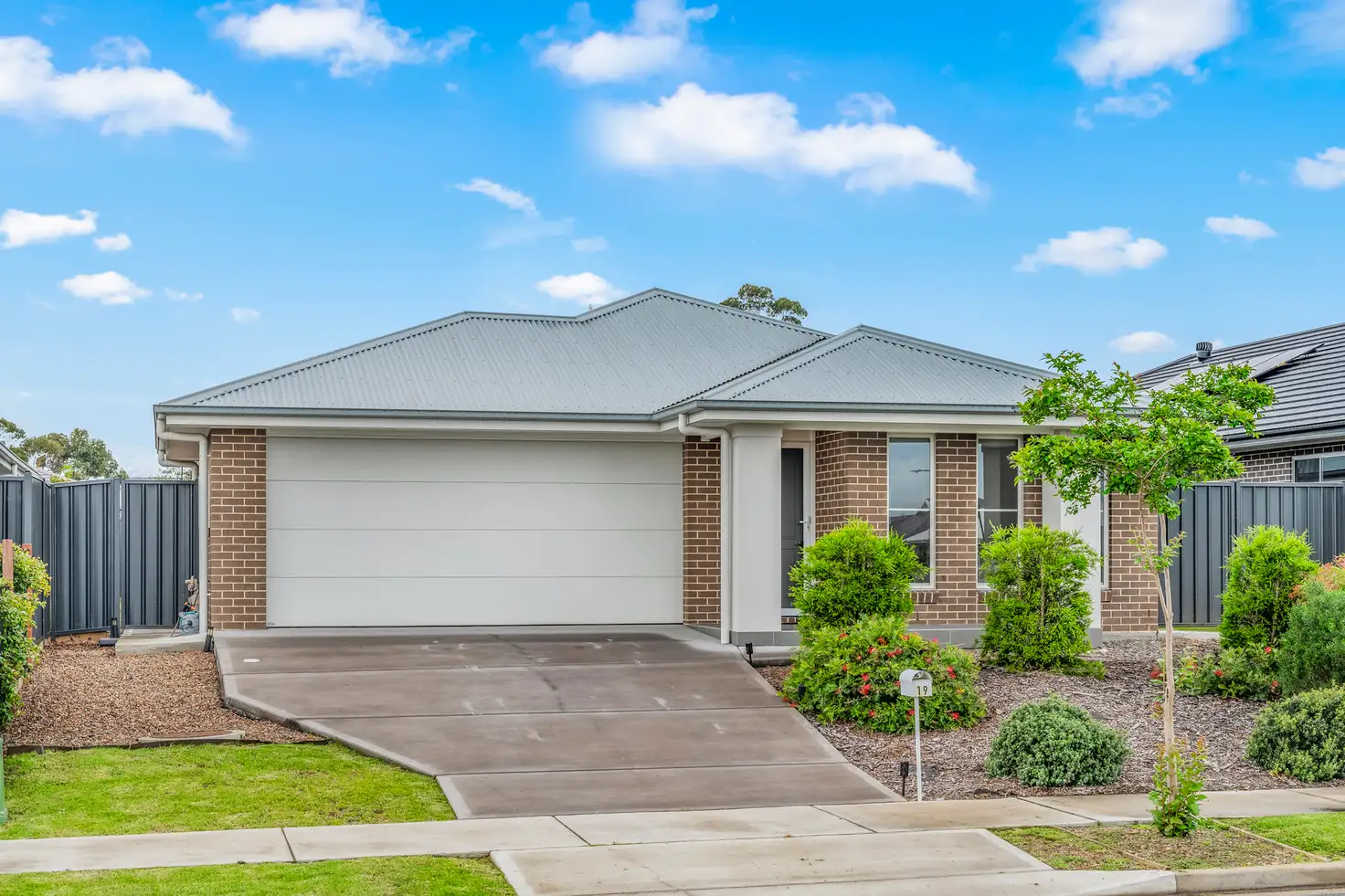 Main view of Homely house listing, 19 Springfield Drive, Lochinvar NSW 2321