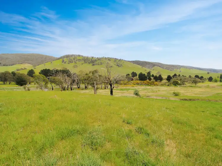 Third view of Homely land listing, 303 Omeo Highway, Omeo VIC 3898