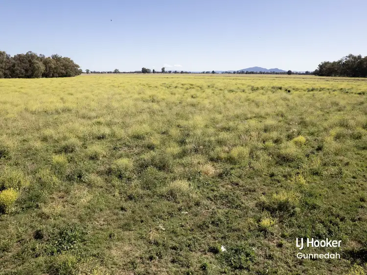 Second view of Homely rural property listing, 198 Kelvin Road, Gunnedah NSW 2380