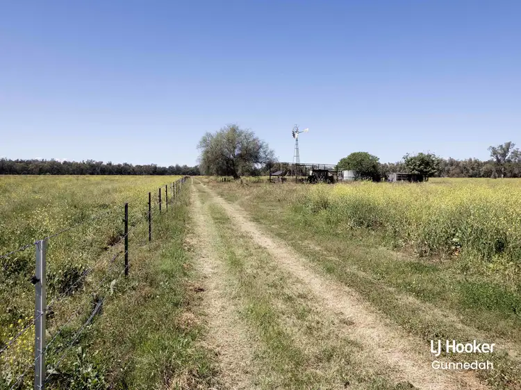 Third view of Homely rural property listing, 198 Kelvin Road, Gunnedah NSW 2380