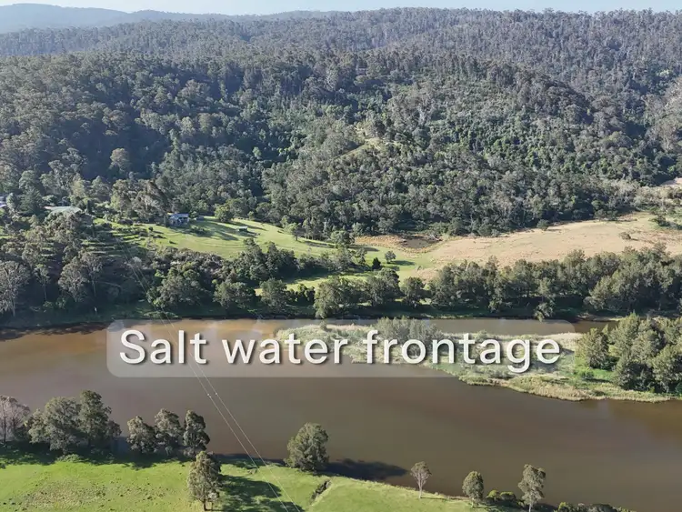 732 Reedy Swamp Road, Bega NSW 2550