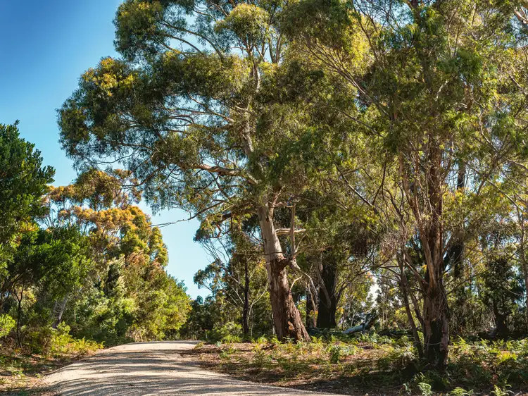 Fifth view of Homely land listing, 33 Upper Scamander Road, Scamander TAS 7215