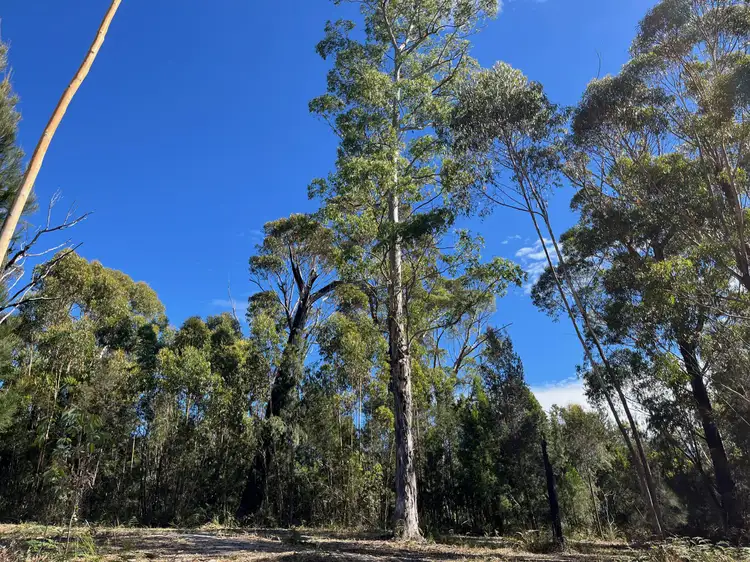 Sixth view of Homely land listing, 33 Upper Scamander Road, Scamander TAS 7215