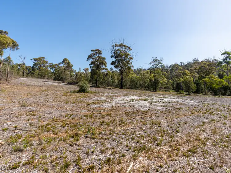Seventh view of Homely land listing, 33 Upper Scamander Road, Scamander TAS 7215