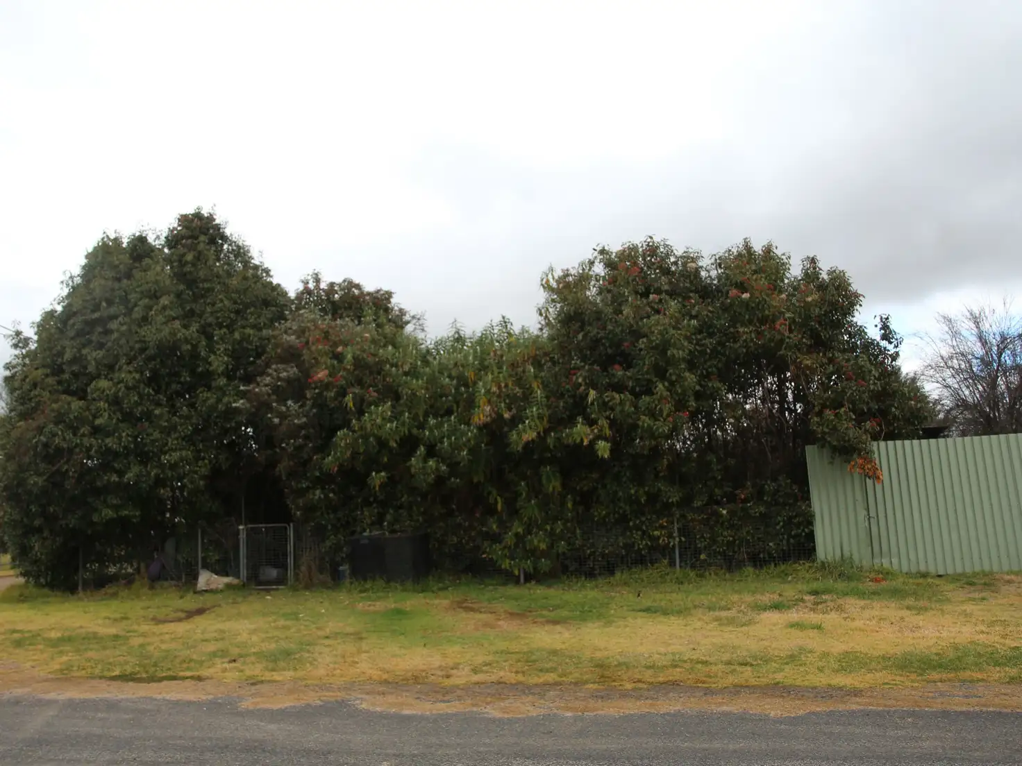 Main view of Homely house listing, 13 Glencoe Street, Glencoe NSW 2365
