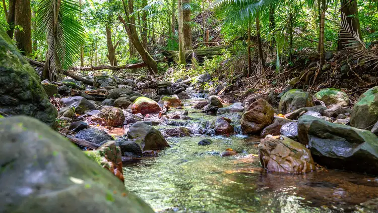 183 Killabakh Creek Road, Killabakh NSW 2429
