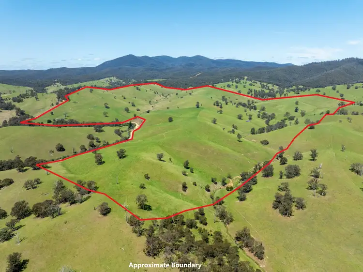 244 Buchan Ensay Road, Reedy Flat VIC 3895