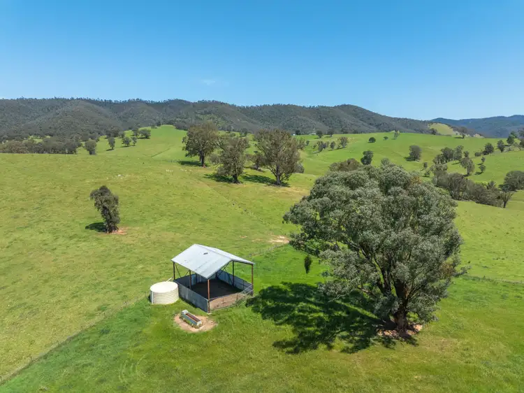 Second view of Homely rural property listing, 244 Buchan Ensay Road, Reedy Flat VIC 3895