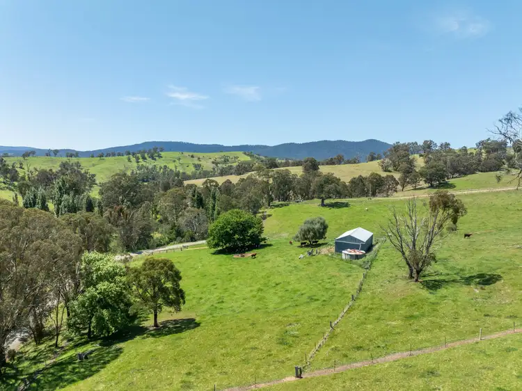 Third view of Homely rural property listing, 244 Buchan Ensay Road, Reedy Flat VIC 3895