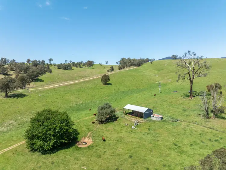 Fourth view of Homely rural property listing, 244 Buchan Ensay Road, Reedy Flat VIC 3895