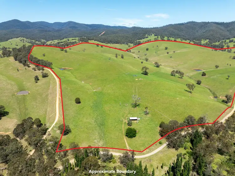 Fifth view of Homely rural property listing, 244 Buchan Ensay Road, Reedy Flat VIC 3895