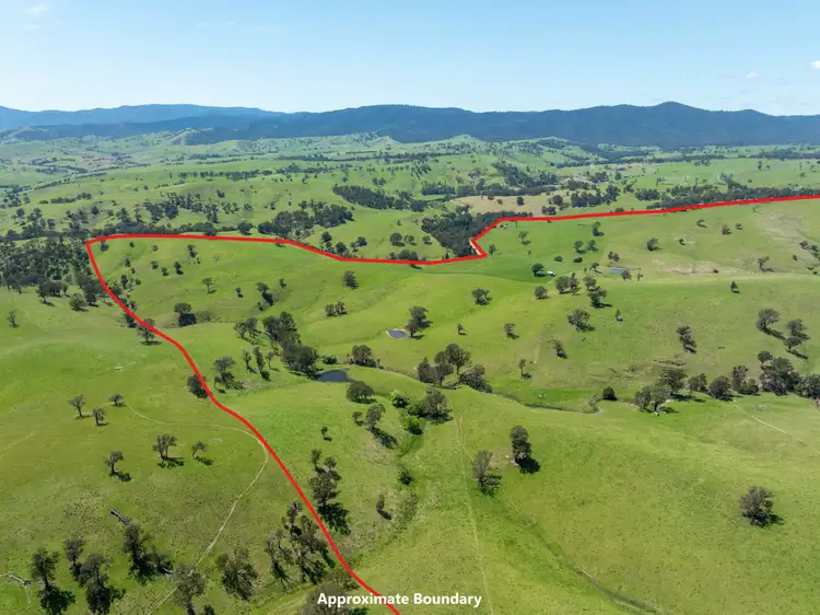 Sixth view of Homely rural property listing, 244 Buchan Ensay Road, Reedy Flat VIC 3895
