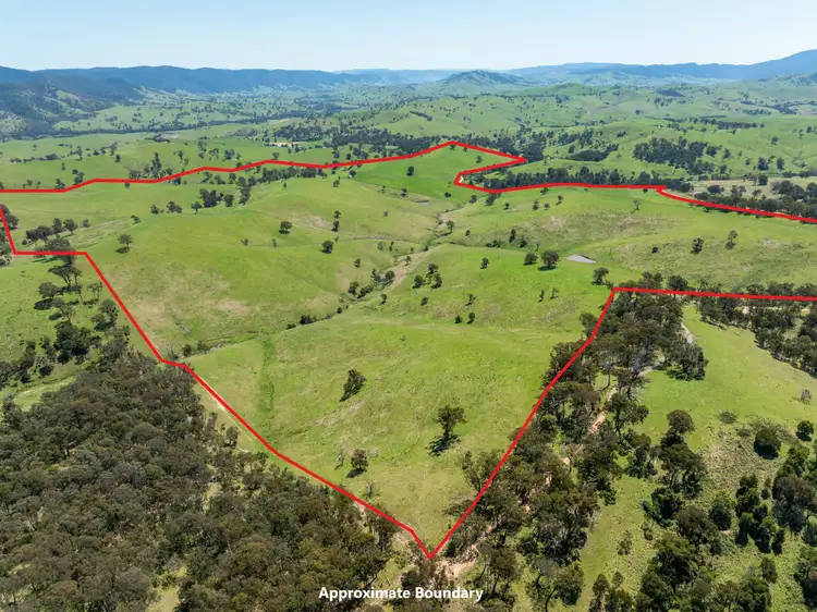 Seventh view of Homely rural property listing, 244 Buchan Ensay Road, Reedy Flat VIC 3895