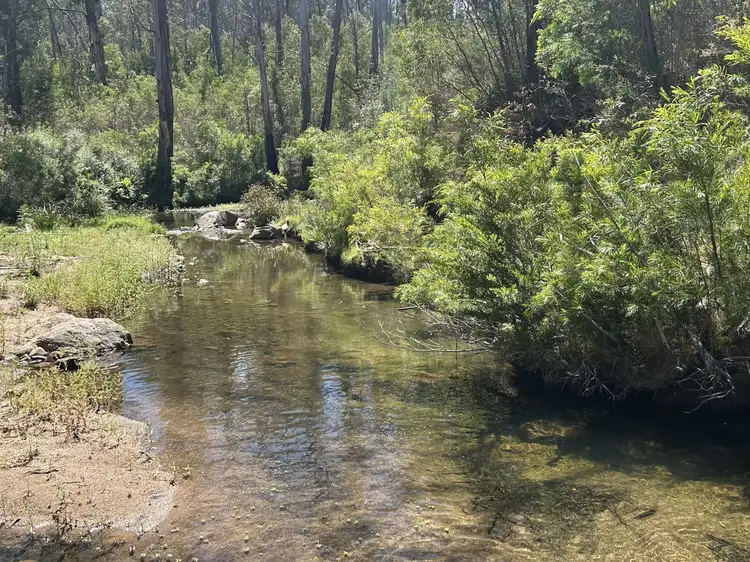 Second view of Homely land listing, 3355 Mount Darragh Road, Wyndham NSW 2550