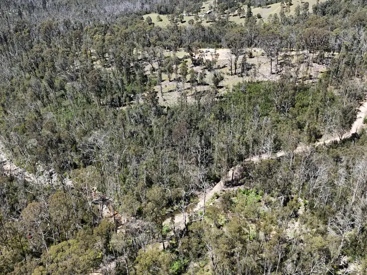 Seventh view of Homely land listing, 3355 Mount Darragh Road, Wyndham NSW 2550