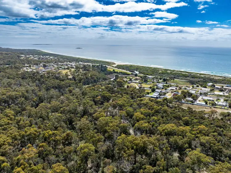 Fifth view of Homely land listing, Lot 1 Ocean Drive, Beaumaris TAS 7215