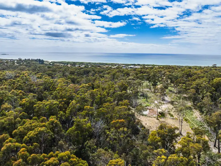 Seventh view of Homely land listing, Lot 1 Ocean Drive, Beaumaris TAS 7215