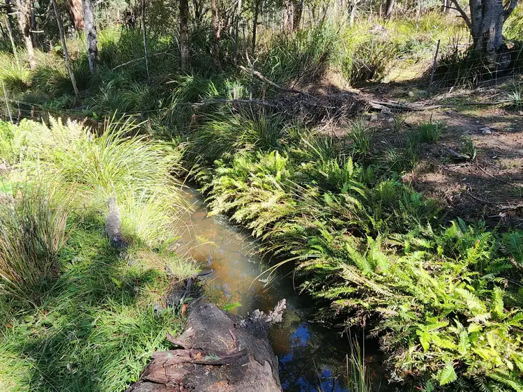 Fourth view of Homely land listing, Lot Lot 1/221 Irish Town Road, St Marys TAS 7215