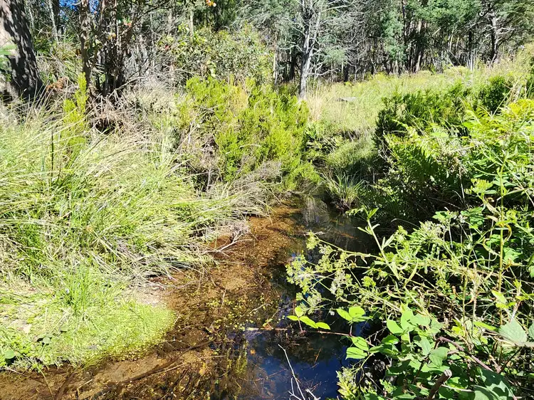 Sixth view of Homely land listing, Lot Lot 1/221 Irish Town Road, St Marys TAS 7215