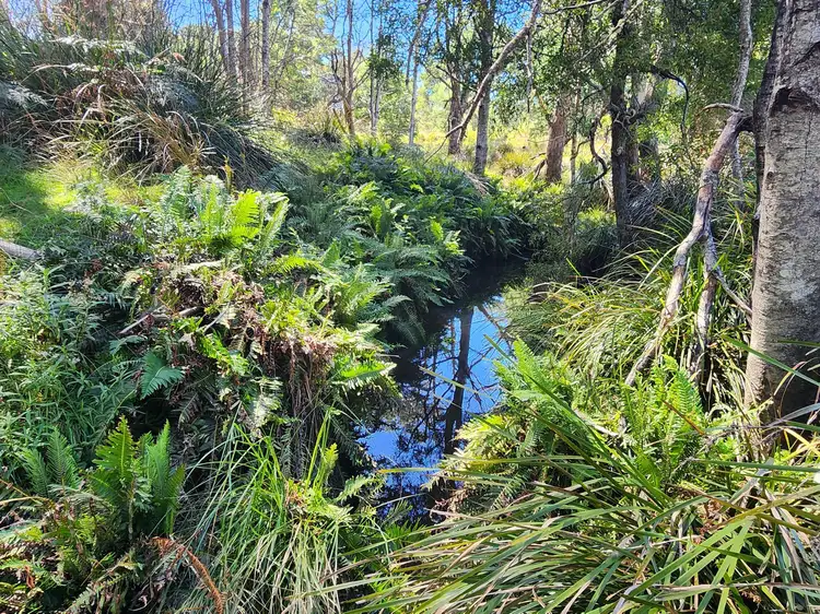 Seventh view of Homely land listing, Lot Lot 1/221 Irish Town Road, St Marys TAS 7215