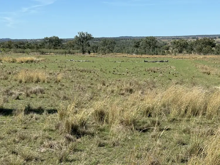 Seventh view of Homely rural property listing, 2090 Baltimore Loop Rd, Atholwood NSW 2361