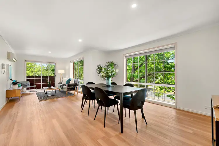 5/17 Helemon Street, Braddon ACT 2612