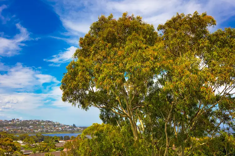 Fourth view of Homely apartment listing, 27/72-74 Pacific Parade, Dee Why NSW 2099