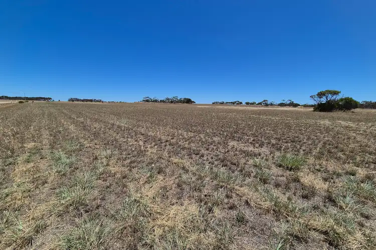 Fourth view of Homely land listing, Lot 502/ Daviesia Drive, Hopetoun WA 6348