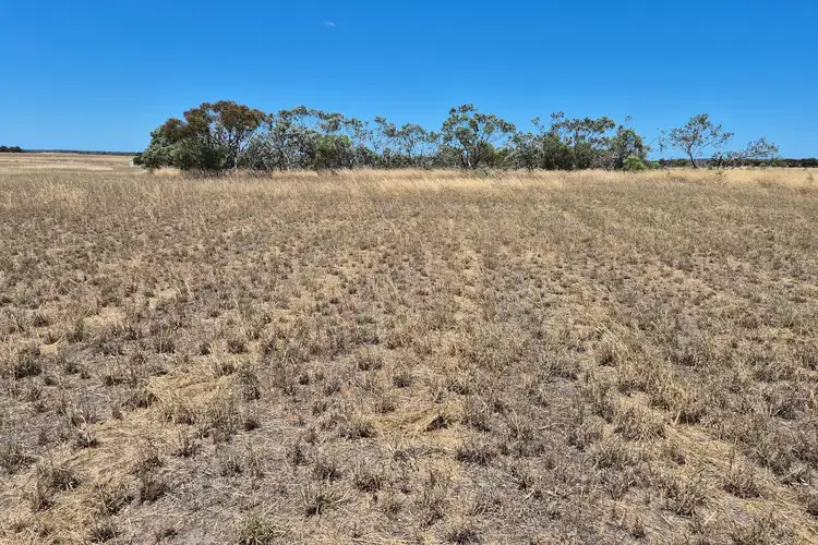 Seventh view of Homely land listing, Lot 502/ Daviesia Drive, Hopetoun WA 6348