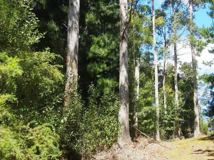 Sixth view of Homely land listing, 2184 Preolenna Road, Preolenna TAS 7325