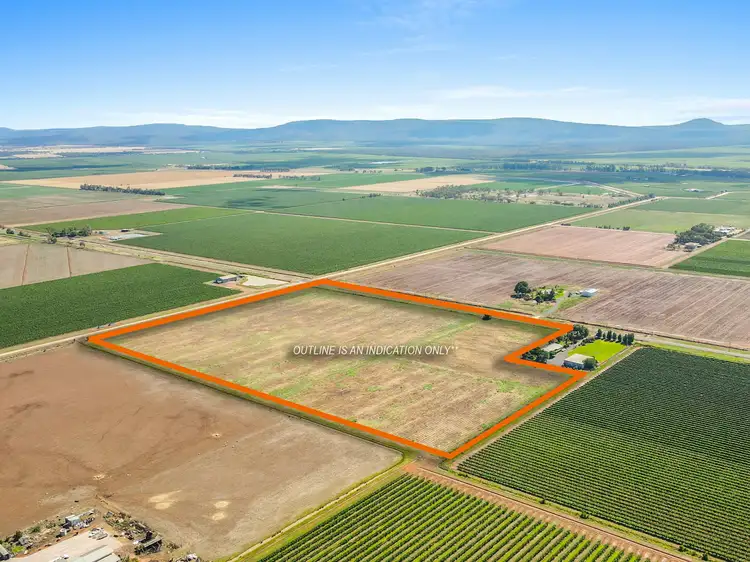 Main view of Homely rural property listing, 1346 Myall Park Road, Yenda NSW 2681
