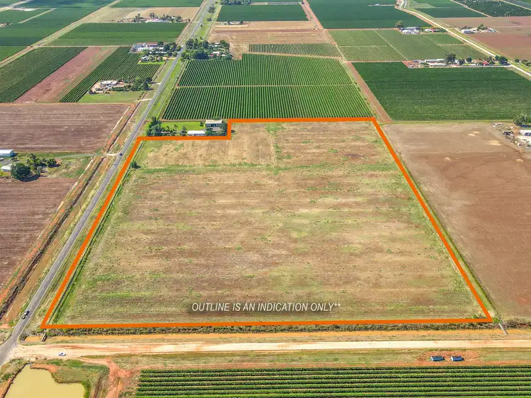 Third view of Homely rural property listing, 1346 Myall Park Road, Yenda NSW 2681