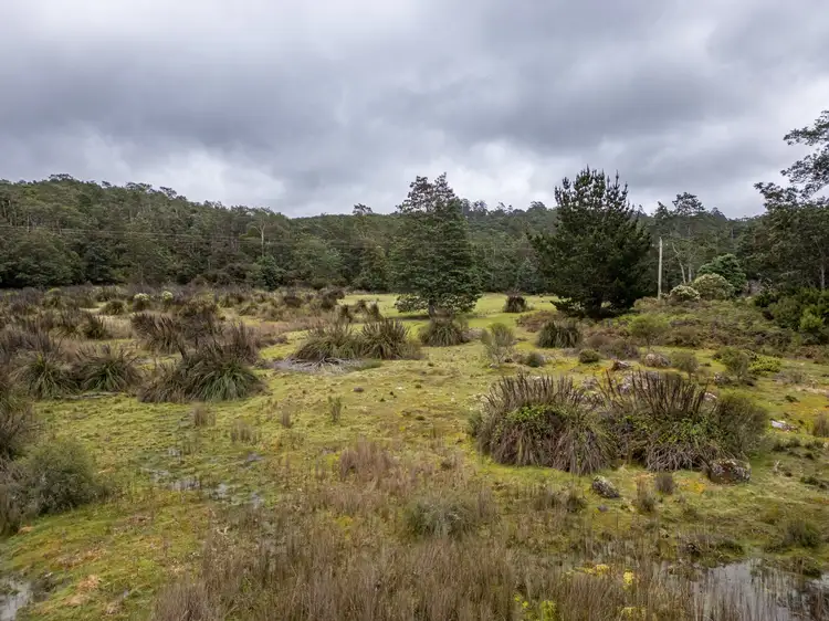 Second view of Homely land listing, Part of PI Tasman Highway, Weldborough TAS 7264