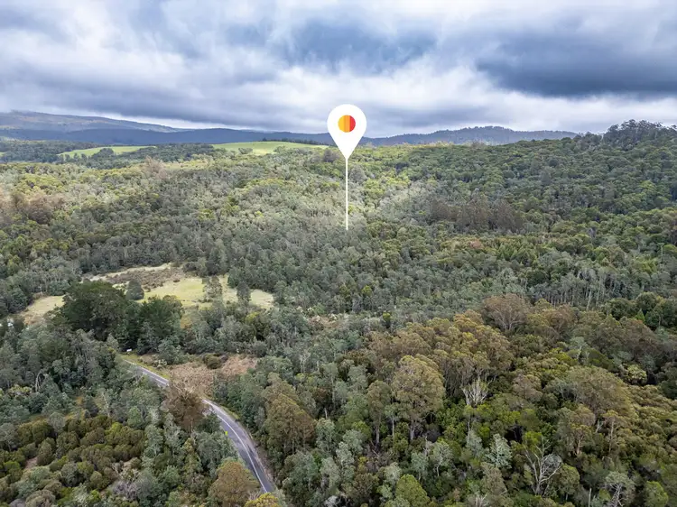 Third view of Homely land listing, Part of PI Tasman Highway, Weldborough TAS 7264