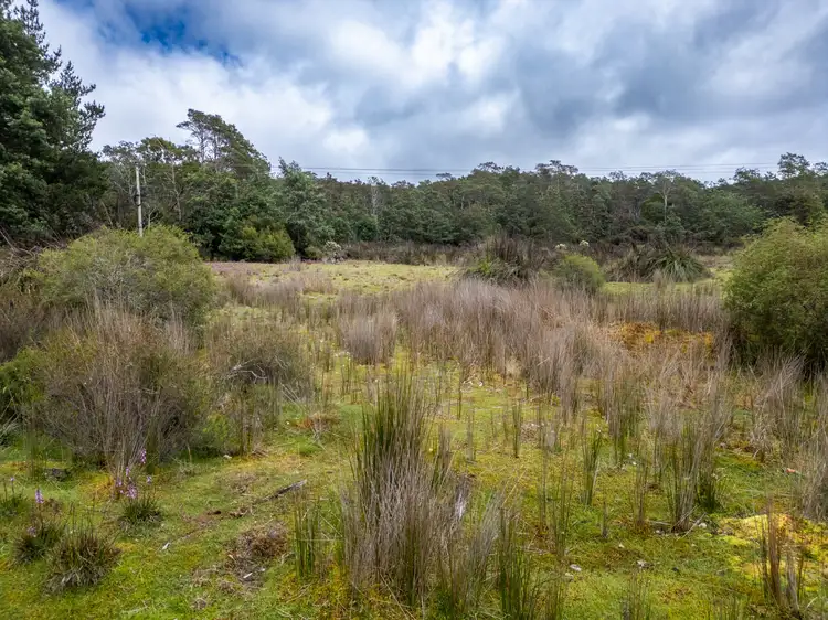Fourth view of Homely land listing, Part of PI Tasman Highway, Weldborough TAS 7264