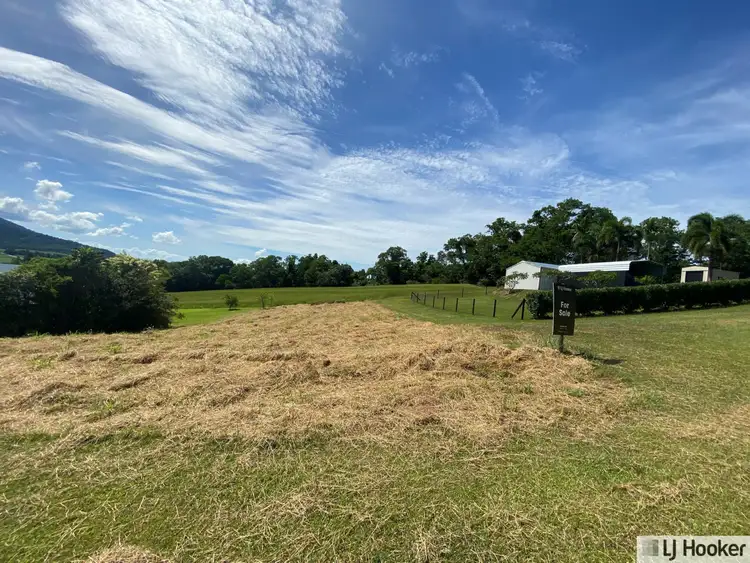 Sixth view of Homely land listing, 38 Pease Street, Tully QLD 4854