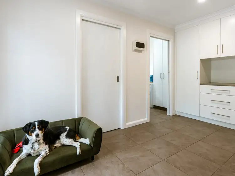 Fifth view of Homely house listing, 11 Gray Road, St Marys TAS 7215