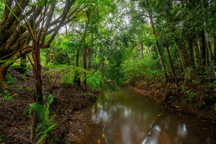 Second view of Homely house listing, 111 Martin Road, Evelyn QLD 4888