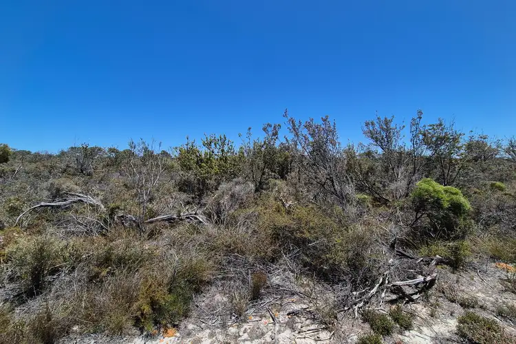 Second view of Homely land listing, 109 Orchid Road, Hopetoun WA 6348