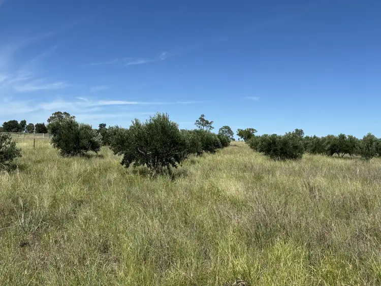 Third view of Homely rural property listing, 33 Abbey Road, Roma QLD 4455