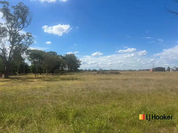 Fourth view of Homely land listing, 88 McNamaras Lane, Narromine NSW 2821