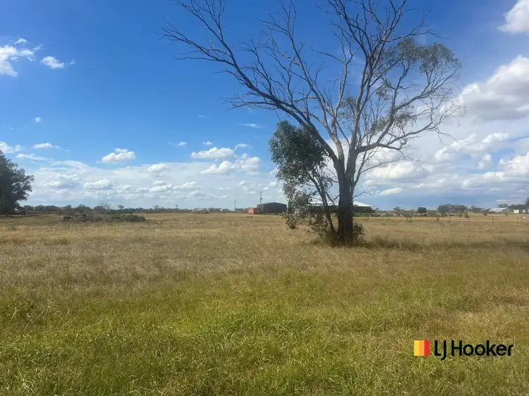 Fifth view of Homely land listing, 88 McNamaras Lane, Narromine NSW 2821