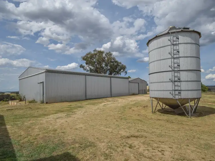 Sixth view of Homely rural property listing, 373 Milvale Road, Young NSW 2594