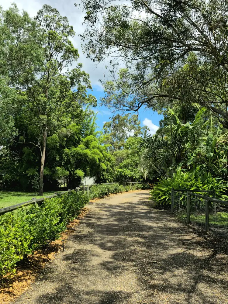 Third view of Homely house listing, 79 Honeyeater Drive, Walligan QLD 4655
