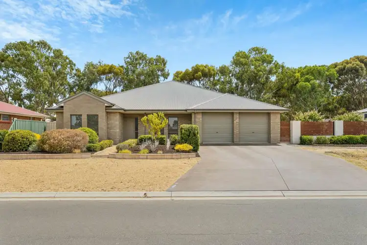 Second view of Homely house listing, 17 Steinborner Street, Nuriootpa SA 5355