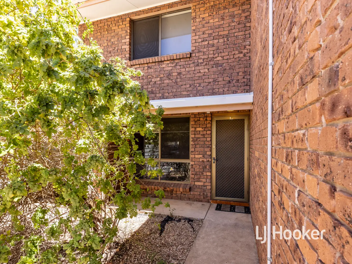 Main view of Homely unit listing, 1/4 Cycad Place, Sadadeen NT 870