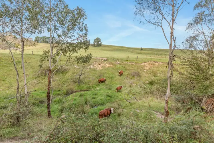 Seventh view of Homely rural property listing, Lot 103 Old Bathurst Road, South Bowenfels NSW 2790