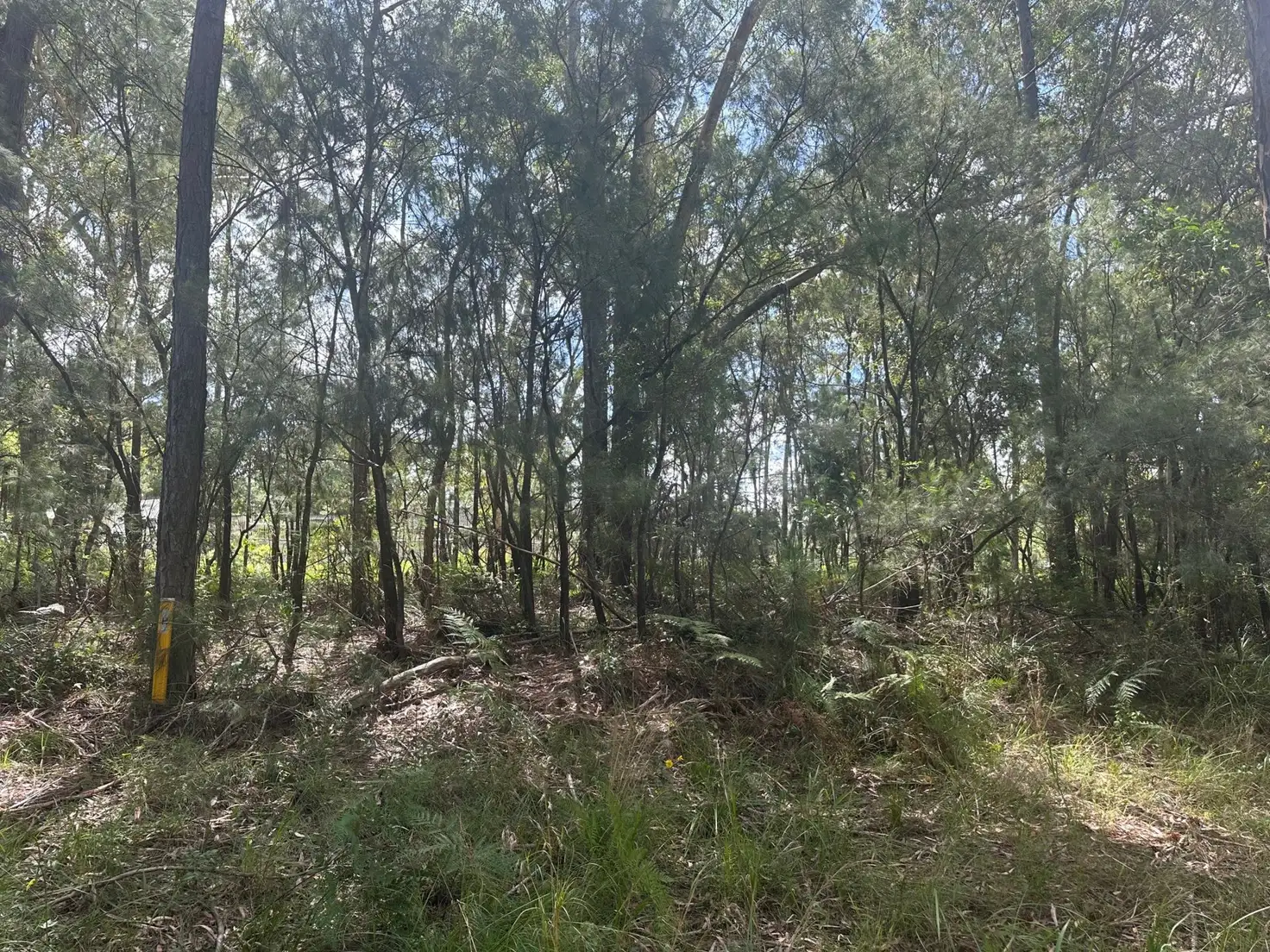 Main view of Homely land listing, 5 Harrison Street, Russell Island QLD 4184