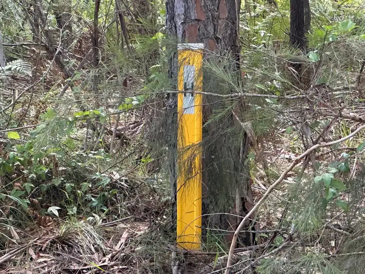 Second view of Homely land listing, 5 Harrison Street, Russell Island QLD 4184